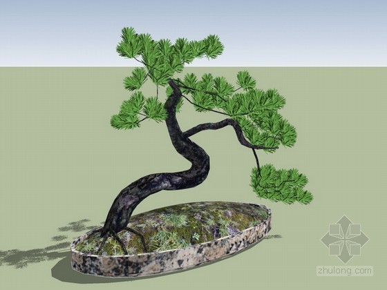 松树盆景模型资料下载-松树盆景sketchup模型下载