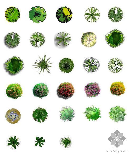 植物组团平面立面手绘资料下载-植物平面素材