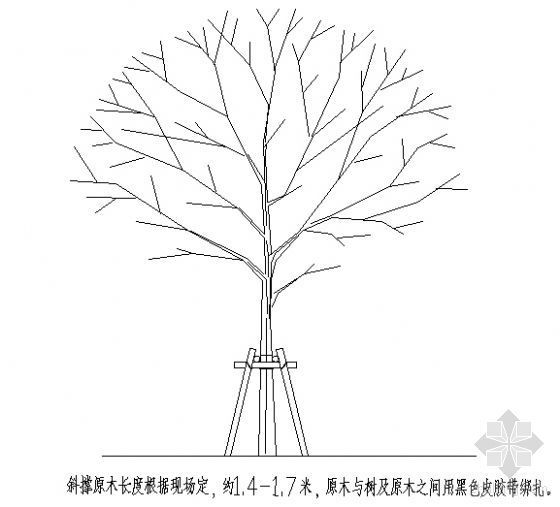 乔木种植护树架示意图-4