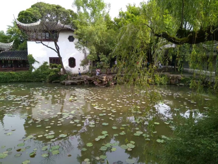 杭州西湖的经典植物配置有哪些_1