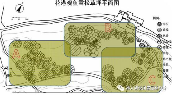 经典植物案例分析-----致需要补充植物知识的你_3