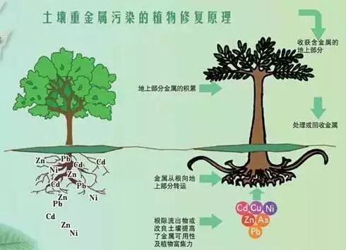 15种常见土壤地下水修复技术大盘点_6