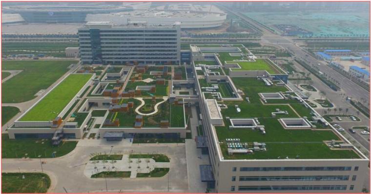 [天津]大型国际医院工程创鲁班奖施工质量情况汇报PPT（99页，附图精美）-种植屋面