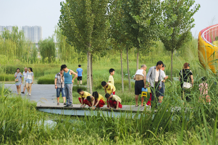 陕西渭柳湿地公园-014-weiliu-wetland-park-china-by-yifang-ecoscape