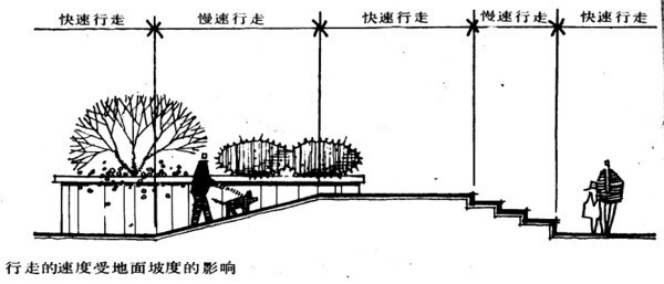 （干货干货）植物设计基础常识_92