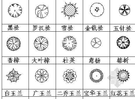 CAD平面物种图例资料下载-景观设计常用植物平面图例