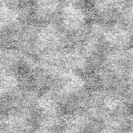 浅灰色布料贴图资料下载-浅灰色地毯