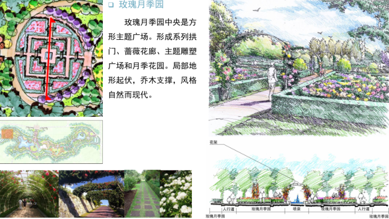 [四川]峨眉山市植物公园景观规划设计（科普公园+水上游乐园）-[四川]峨眉山市植物公园景观规划设计 1-5 玫瑰月季园