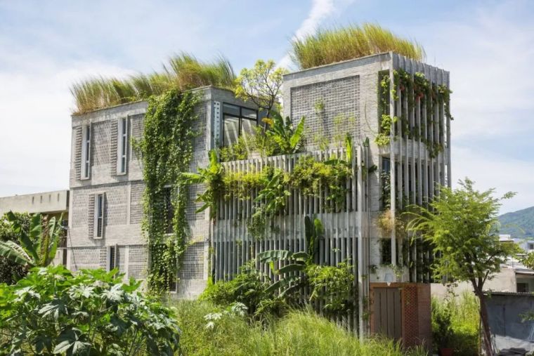办公室种植植物资料下载-现代乡村办公室，城市中的‘绿洲’ / Ho Khue Architects