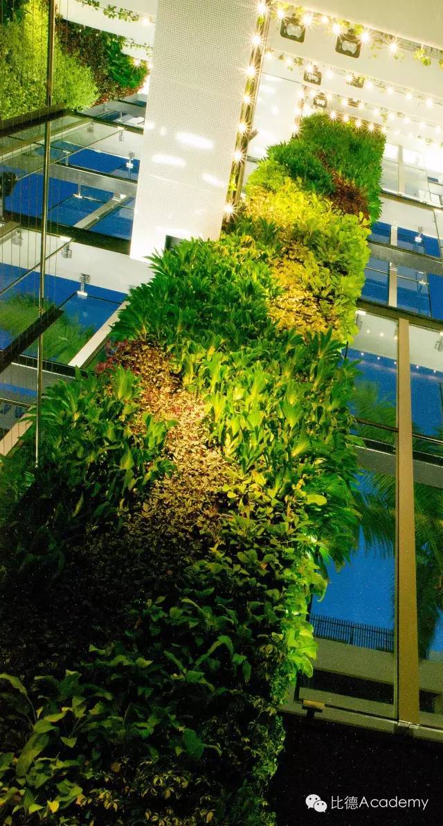 震惊了！新加坡的垂直绿化建筑 ..._48