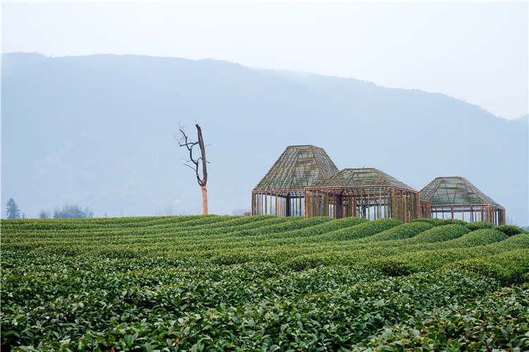 休憩亭施工方案资料下载-茶园里边的竹亭