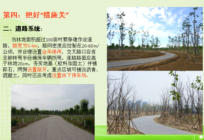 [北京]造林工程质量管理内容及要求（130页）-道路系统