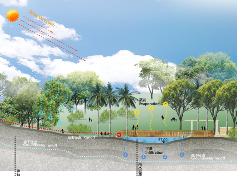 园林设计psd素材资料下载-海绵公园-剖面图PSD分层素材