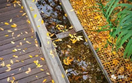 水与建筑的结合资料下载-技术与艺术的结合 —— 雨水花园