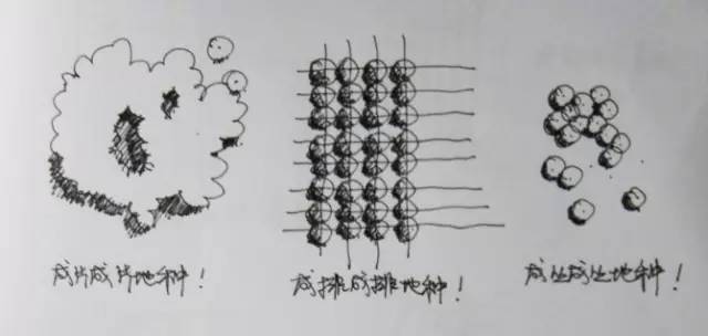 园林植物配置，就要这样！！_2