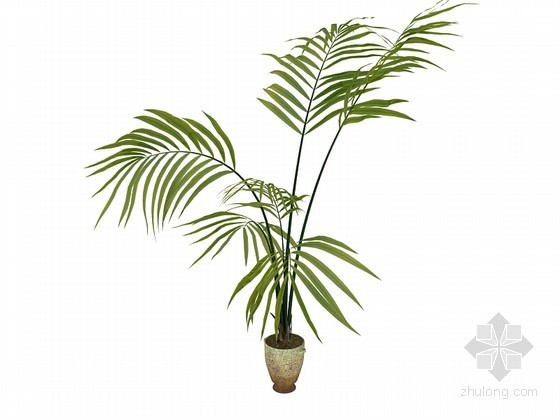 景观植物su3D模型资料下载-室内小植物3D模型下载
