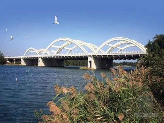 全钢钢管拱桥资料下载-[福建]下承式钢管混凝土系杆拱桥施工图（130张）