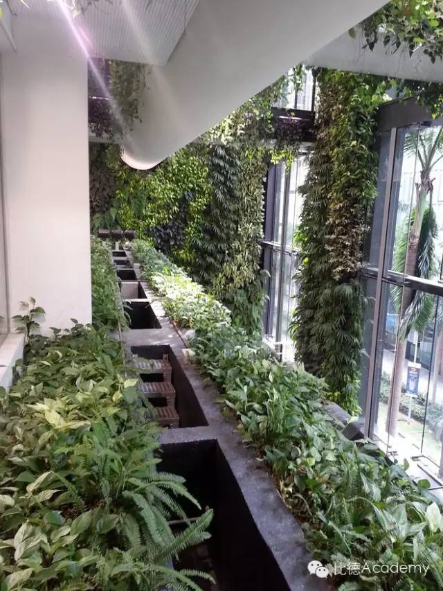 为什么全世界都向新加坡学习垂直绿化_44