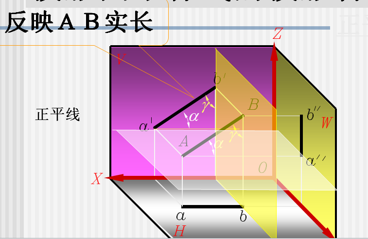 市政工程识图与构造第二章投影基础知识（119页）_3