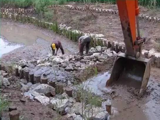 河道生态栖息地的修复设计与施工过程详解_3