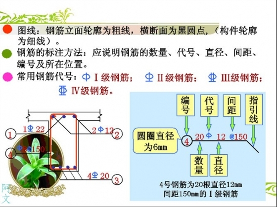 看不懂钢筋配筋图，还做什么结构设计！？-T12jKTBjCT1RCvBVdK.jpg