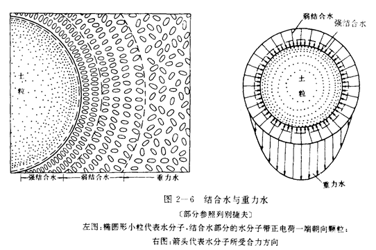 岩土中的空隙和水_1