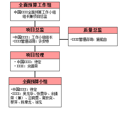 十三五规划纲要建议资料下载-全面预算管理体系实施项目建议书