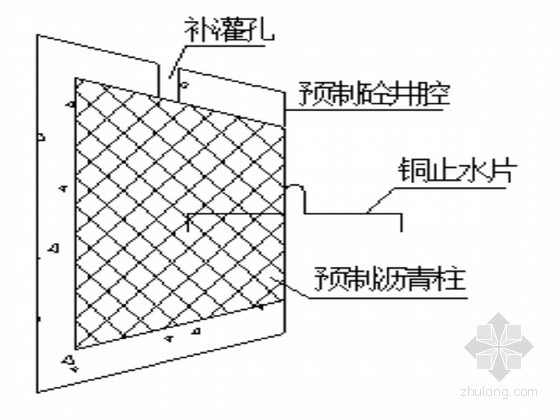 水闸及灌注桩施工方案-水平止水井柱 