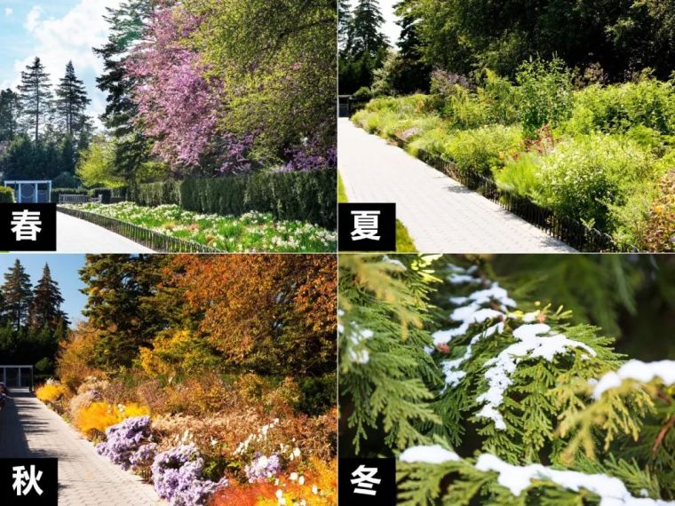 案例分享| 植物景观设计，季相色彩搭配_24