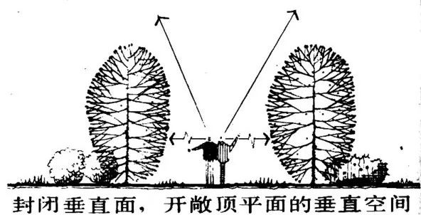 [分享]植物空间设计汇总