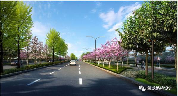 人行道树池图片资料下载-拯救道路工程之丘陵地区海绵道路设计案例