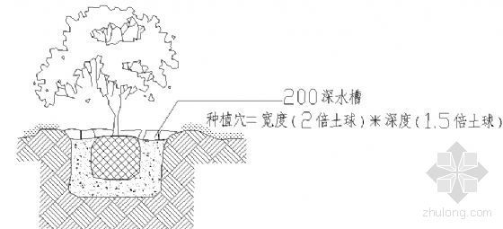 园林灌木种植资料下载-灌木种植详图