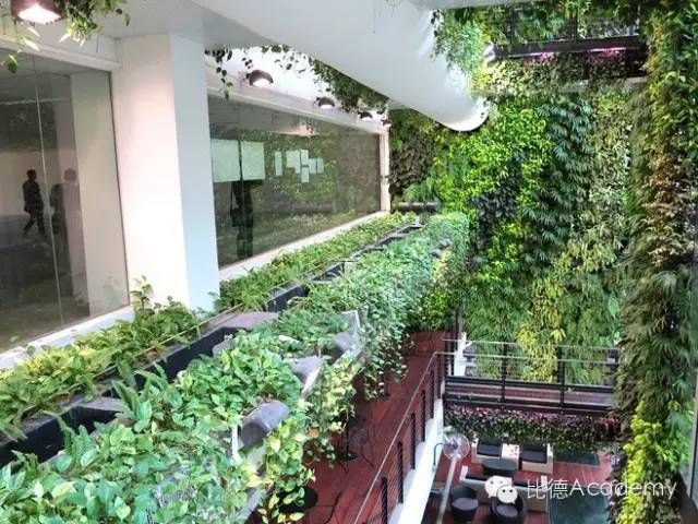为什么全世界都向新加坡学习垂直绿化_43