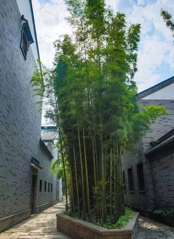 枯山水庭院常用植物资料下载-你相信庭院植物设计要讲究风水吗