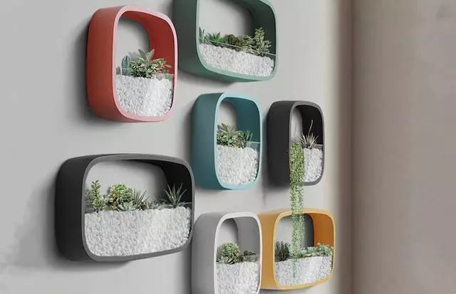 创意植物壁挂，让大自然爬上你家的墙！_4