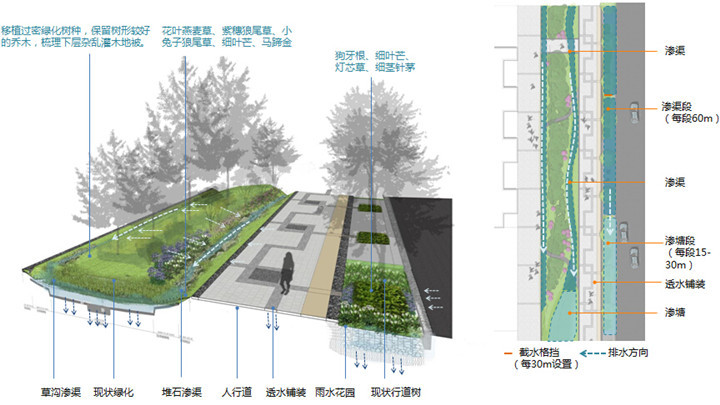 [四川]标志性景观大道“海绵城市”设计方案（2016最新独家）-详细设计