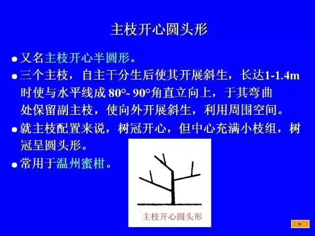 史上最全树木修剪图解（太全了）_30