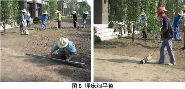 3分钟了解草坪建植方法_7