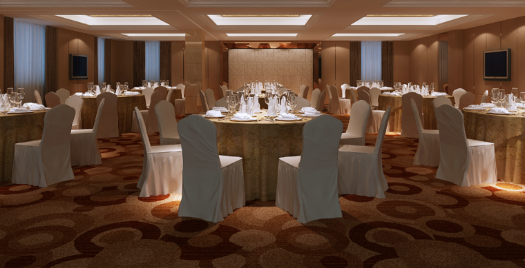 丽锦大酒楼欧式风格室内施工图及效果图（35张）-宴会厅效果图