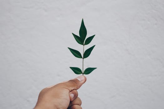 广联达gtj实操案例资料下载-广联达GTJ2018-板的计算学习