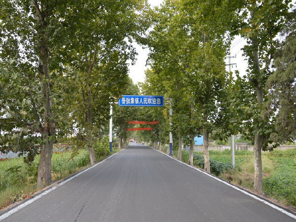 农村公路道路提升资料下载-安徽今年将完成7.2万公里农村道路畅通工程