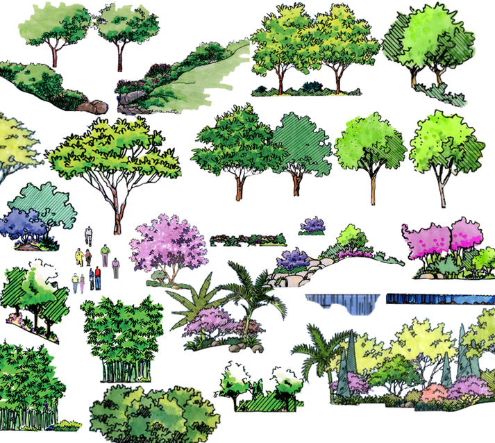 园林景观手绘后期素材PSD素材（立面，人物，水彩风格平面植物）_4
