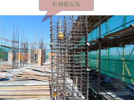 [浙江]拆迁安置区工程主体工程质量验收汇报(56页)-柱钢筋安装 