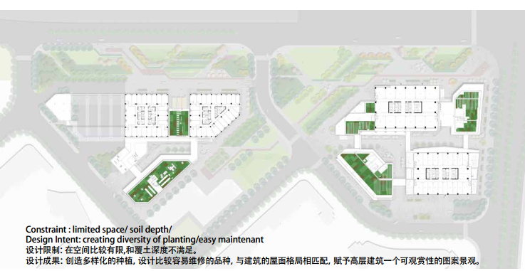 [浙江]商业写字楼轨迹特色景观规划设计方案-整体平面图-屋顶花园
