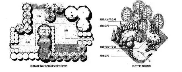 景观植物空间造景｜解析_13