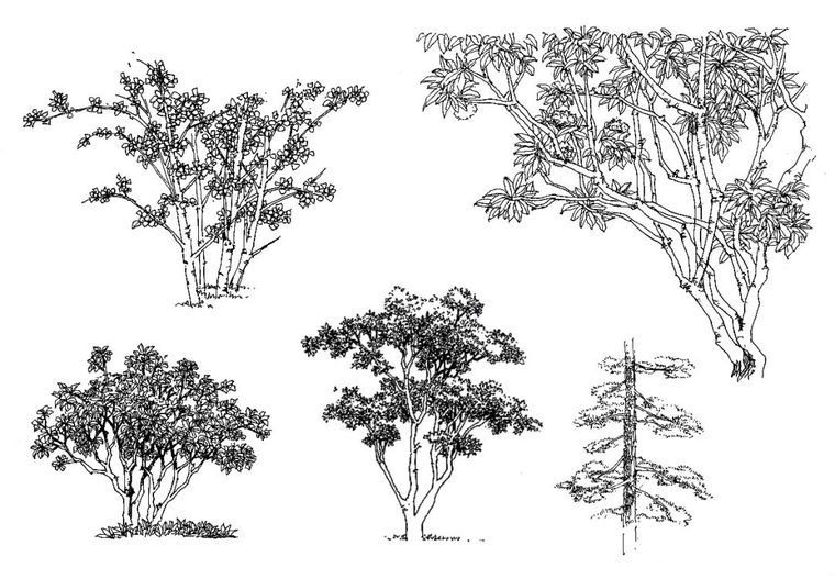 景观手绘优秀作品欣赏_31