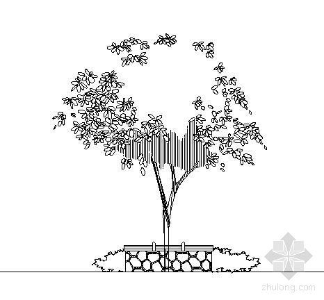 通透式围蔽大样资料下载-某围树座椅大样图