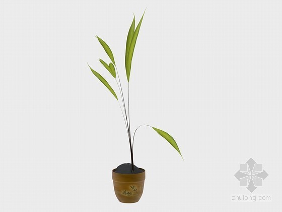 盆栽模型下载资料下载-绿草盆栽3D模型下载