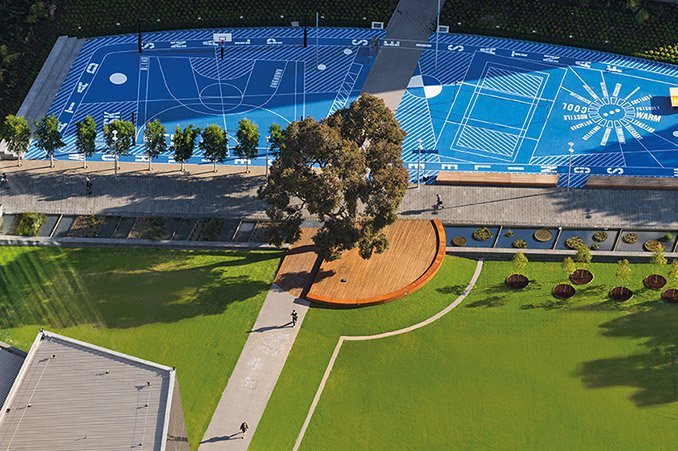 大学校园建筑改造案例资料下载-澳大利亚莫纳什大学校园绿化的再造