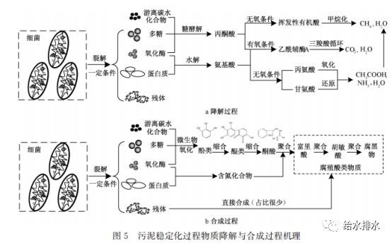 城镇污水处理厂污泥稳定化处理产物转化_8